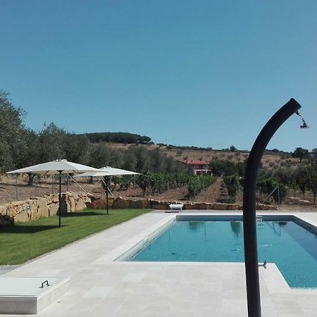 Agriturismo San Lino-Gilberto Massa Marittima Dış mekan fotoğraf