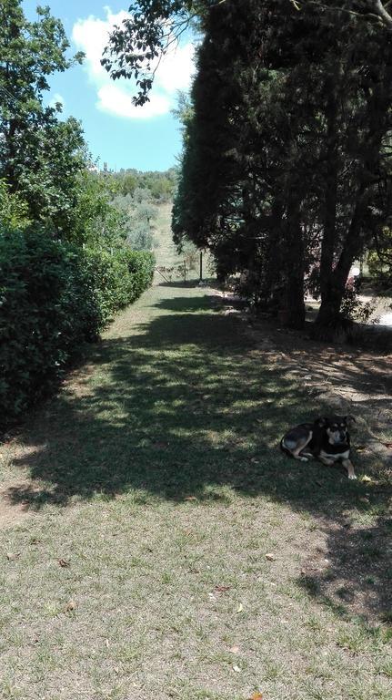 Agriturismo San Lino-Gilberto Massa Marittima Dış mekan fotoğraf