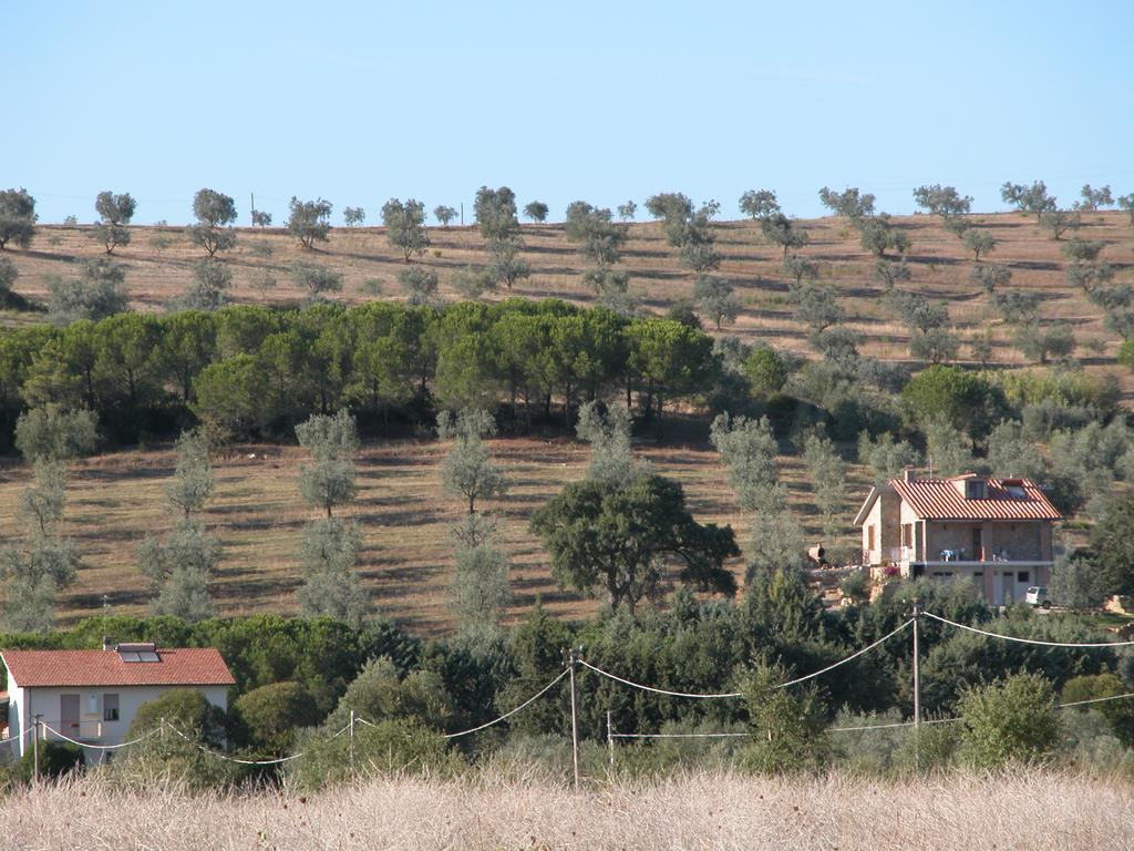 Agriturismo San Lino-Gilberto Massa Marittima Dış mekan fotoğraf
