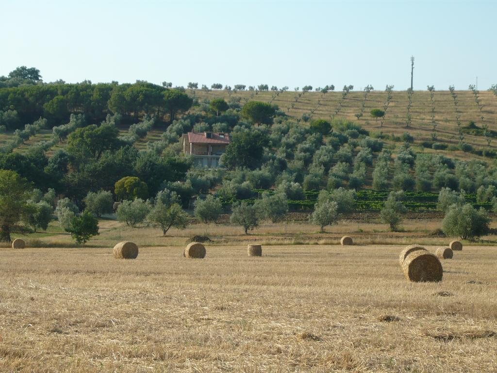 Agriturismo San Lino-Gilberto Massa Marittima Dış mekan fotoğraf