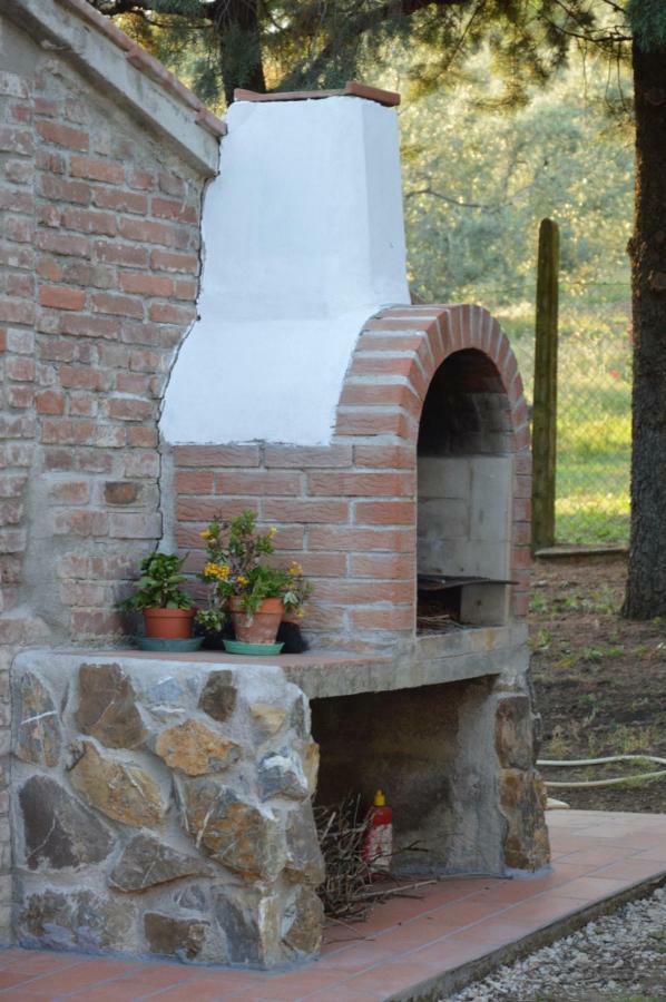Agriturismo San Lino-Gilberto Massa Marittima Dış mekan fotoğraf